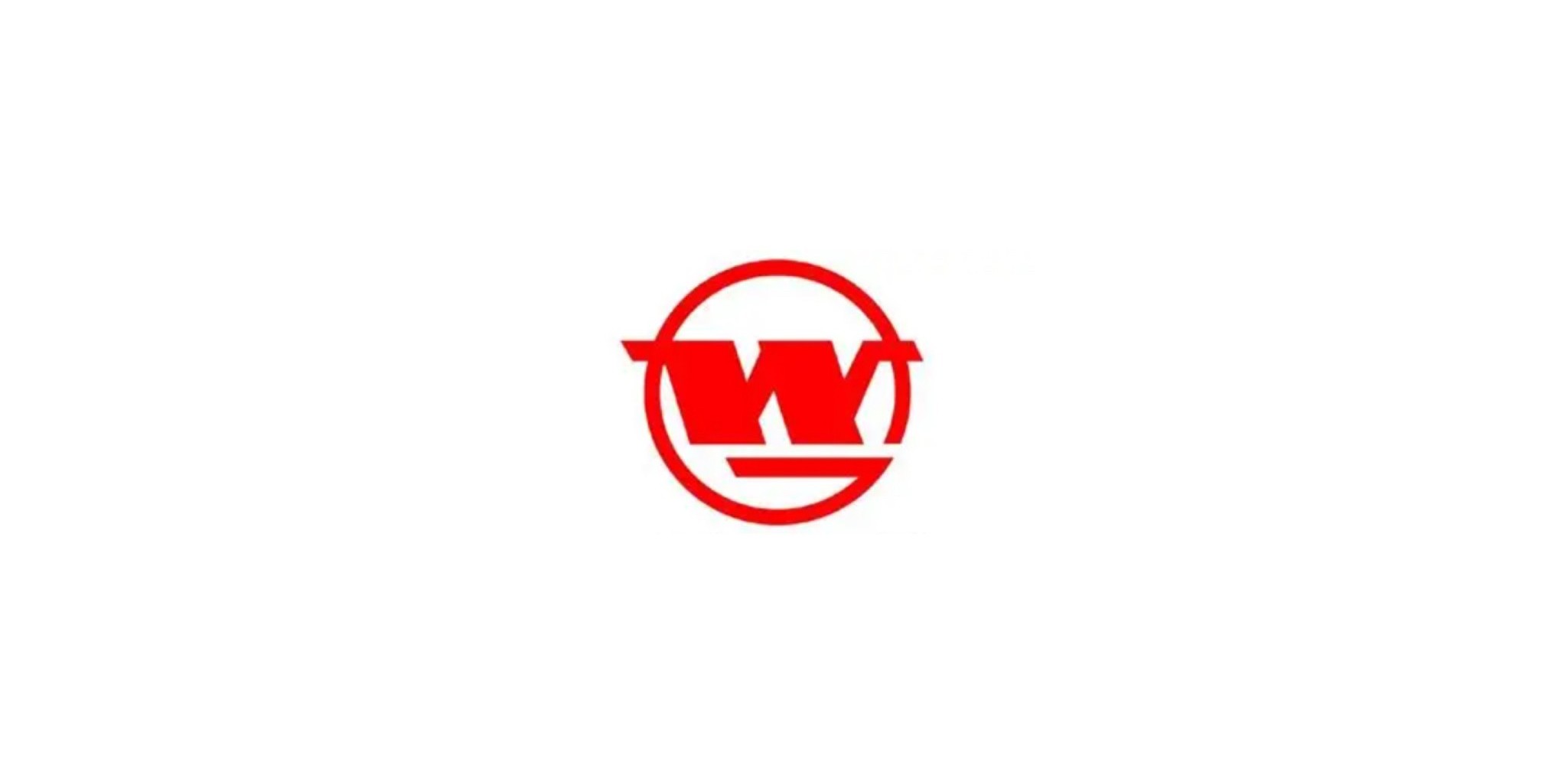 Wuhan Iron and Steel Company Wuhan Iron and Steel Company